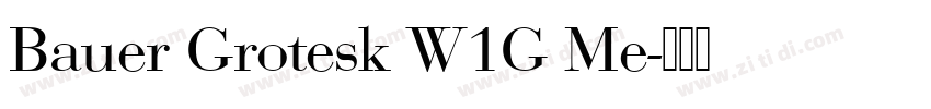 Bauer Grotesk W1G Me字体转换
